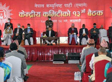 category photo