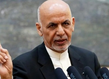category photo