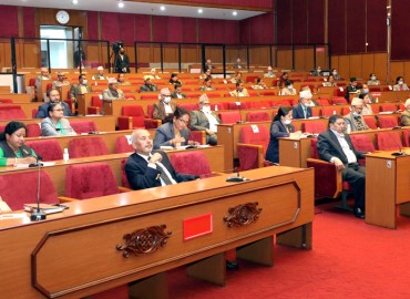 category photo