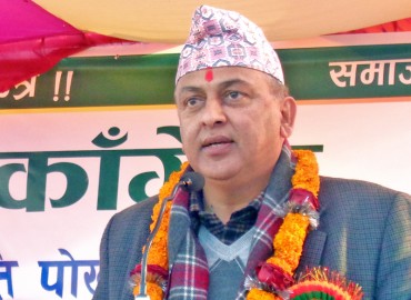 category photo