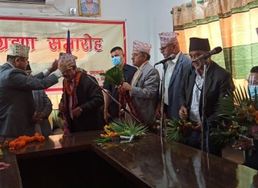 category photo