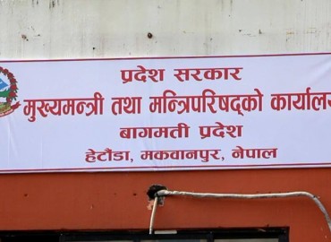 category photo