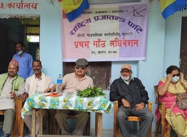 category photo