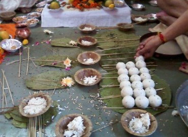 category photo