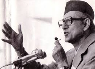 category photo