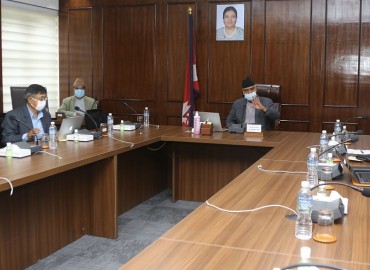 category photo