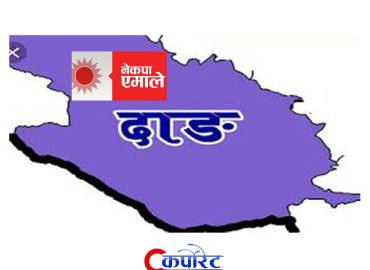 category photo