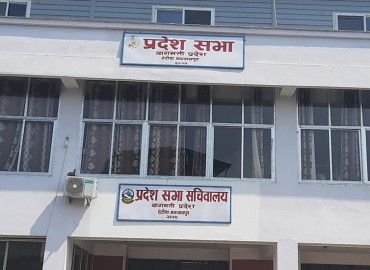 category photo