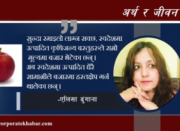 category photo