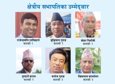 category photo