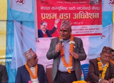 category photo