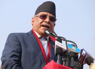 category photo
