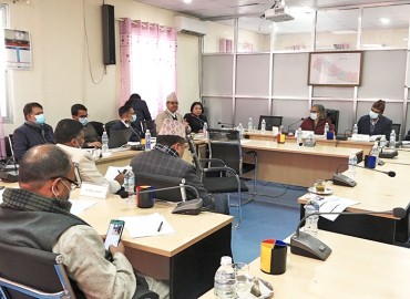 category photo