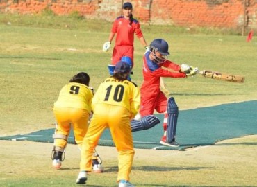 category photo