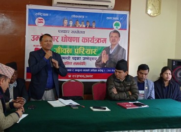 category photo