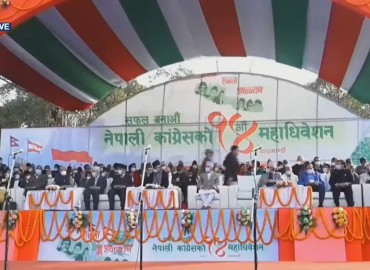 category photo