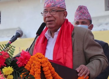 category photo