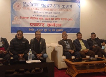 category photo