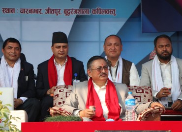 category photo