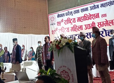 category photo