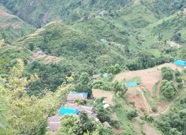 category photo