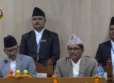 category photo