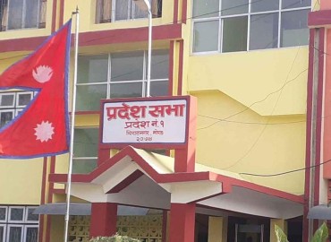 category photo