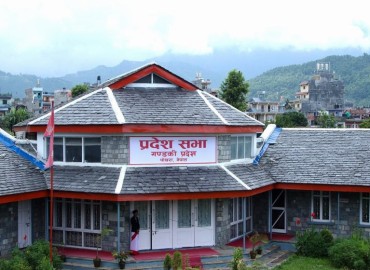 category photo