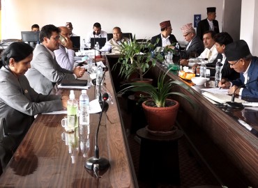 category photo