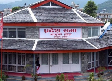category photo
