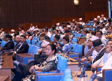 category photo