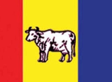 category photo