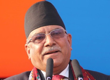 category photo