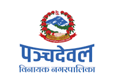 category photo