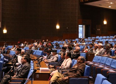 category photo