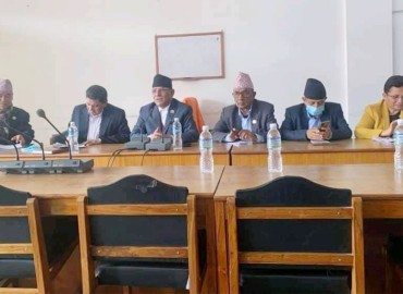 category photo