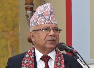 category photo