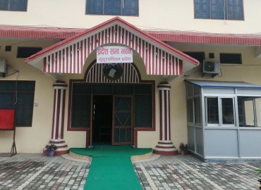 category photo