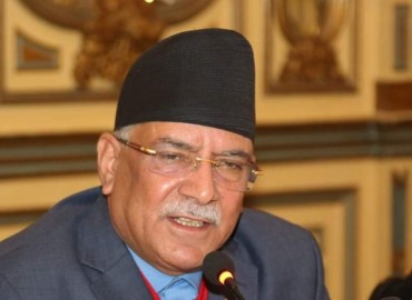 category photo
