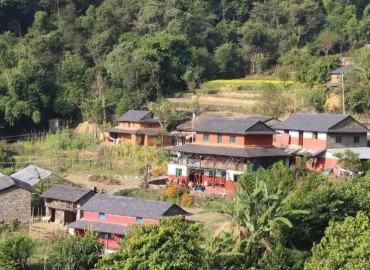 category photo