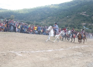 category photo