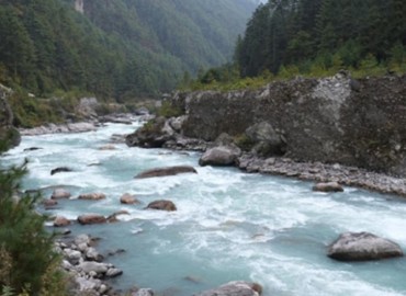 category photo