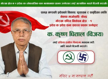 category photo