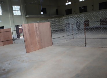 category photo