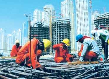 category photo