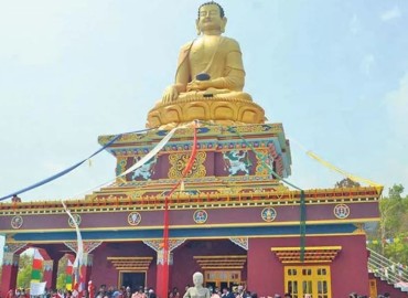 category photo