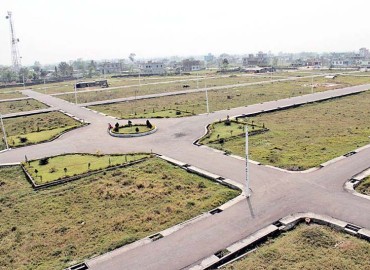 category photo