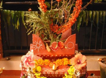 category photo