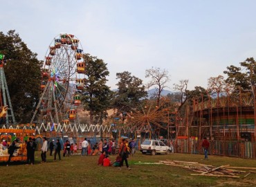 category photo