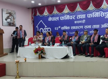 category photo